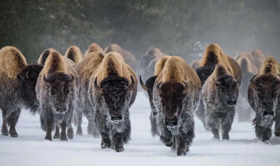 珠海市信息有限公司轮播图2